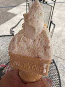 ジェラート工房 四つ葉のクローバー 農林公園店