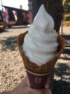 道の駅 ぐりーんふらわー牧場・大胡ミルクハウス