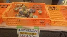 おぱんで 豆蔵