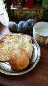 Boulangerie&Patissrie Etoile filante