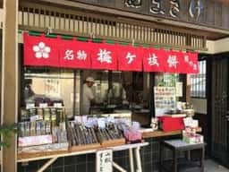 照の恵