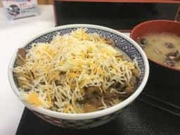 吉野家 カインズ結城店