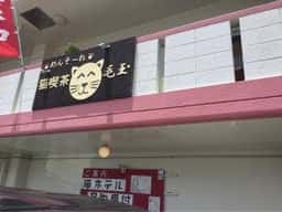 猫も遊べる喫茶店 毛玉