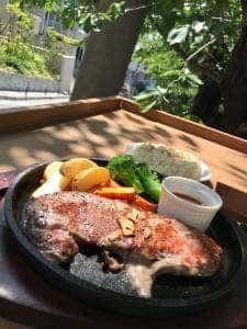 DOG DEPT GARDEN 港の見える丘公園店