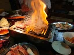 ホルモン食堂 よっちゃん