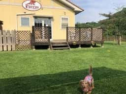パーチェム