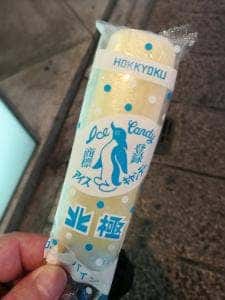 北極