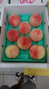 清川ふるさと物産館 夢市場 道の駅きよかわ