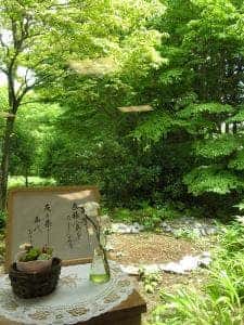喫茶フィオレンテ