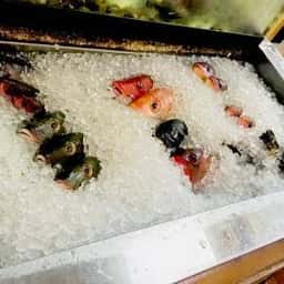 旬鮮食堂りーさん堂