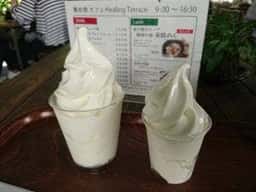 ヒーリングテラス