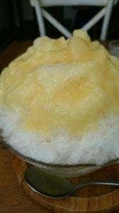 Delice Aprico