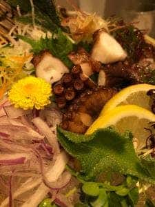 大盤振舞 ひっぱり鮹