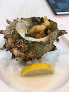 くずし割烹 katsui