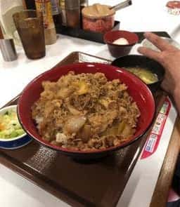 すき家 155号稲沢一色店