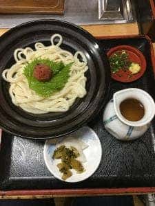 手打の味小泉 苅田店