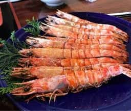 えび料理 しらい