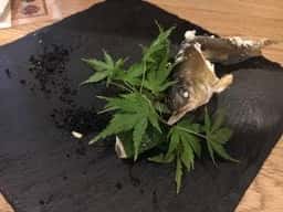 鎮座のまんま
