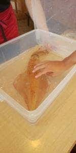 旬魚たつみ 岩美本店