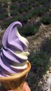 たんばら ラベンダーパーク