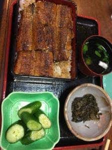 まさむ根