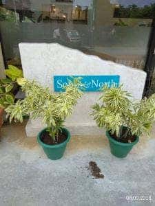 South&North