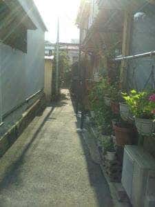 絵本とコーヒーのパビリオン