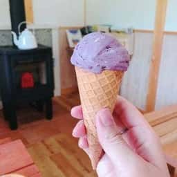 ブルーベリーの丘ホピ