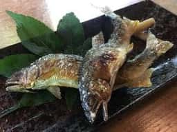 はせ川