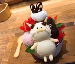 古書と茶房 ことばのはおと