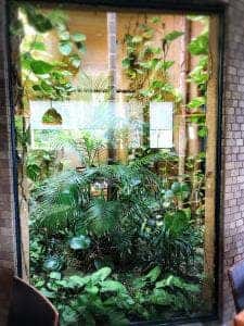 南洋レストランnoa・noa サンメッセ日南