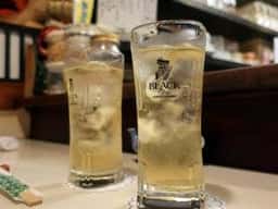 野歌