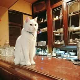 カフェ・ホートン