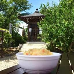 お寺うどん