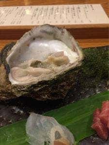坪根