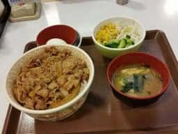 すき家 1国藤沢辻堂店