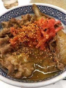 吉野家 新潟海老ヶ瀬インター店