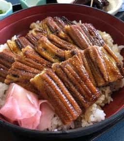 地場鮮魚小升園