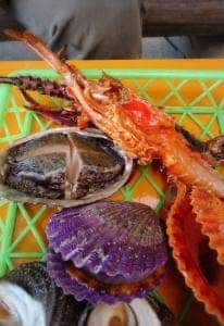 佐田岬灯台ピクニックハウス