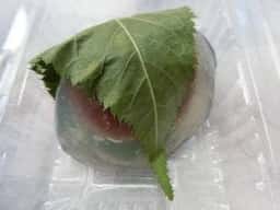甲月堂