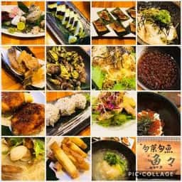 旬菜旬魚 魚々