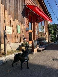 ピザ アリコット