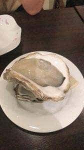 Oysterbar W