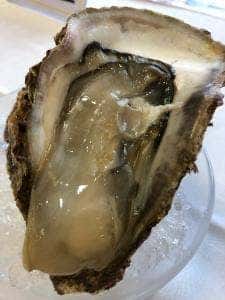 国民保養センター キャッスル真名井