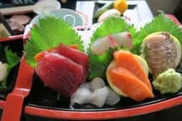 屋形船 むつみ丸