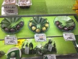 京 嵯峨野 竹路庵 近鉄阿部野橋駅店