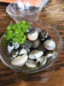 レストラン 旅館かとり