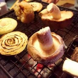 きのこ苑 お山のたいしょう