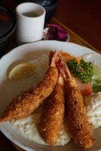 カフェテリア ロング