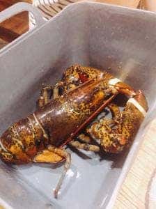 海老炉端 orb 裏天満ちょうちん通り店